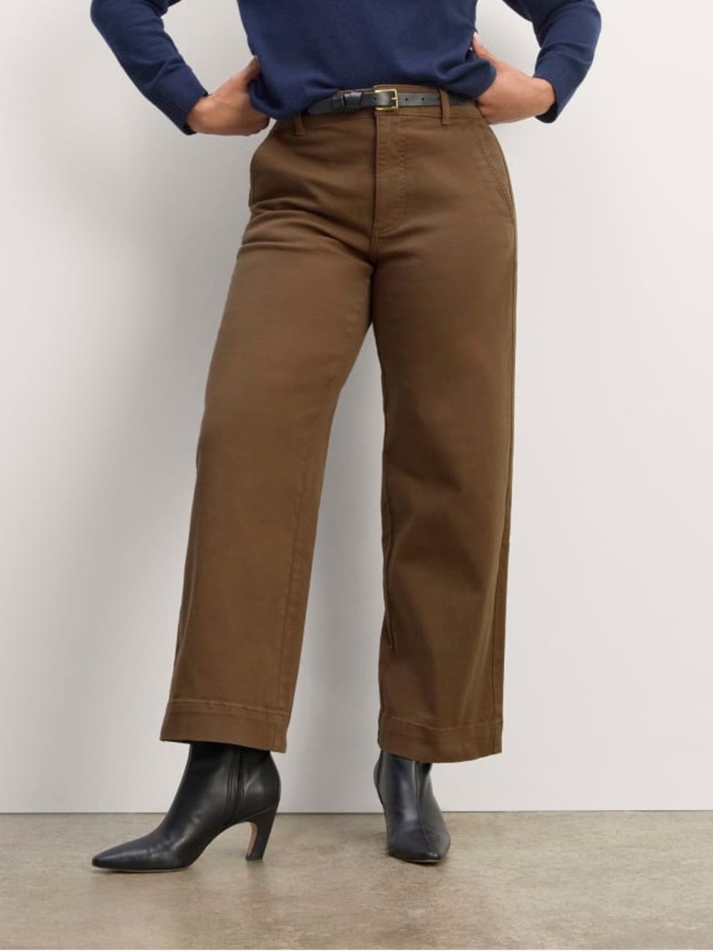 Everlane Utility Wide Leg Pant in Cocoa Brown